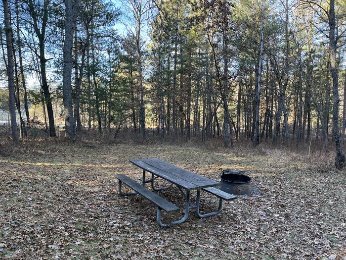 A photo of Site 12 of Loop Wagner Lake at Wagner Lake (MI) with Picnic Table, Fire Pit