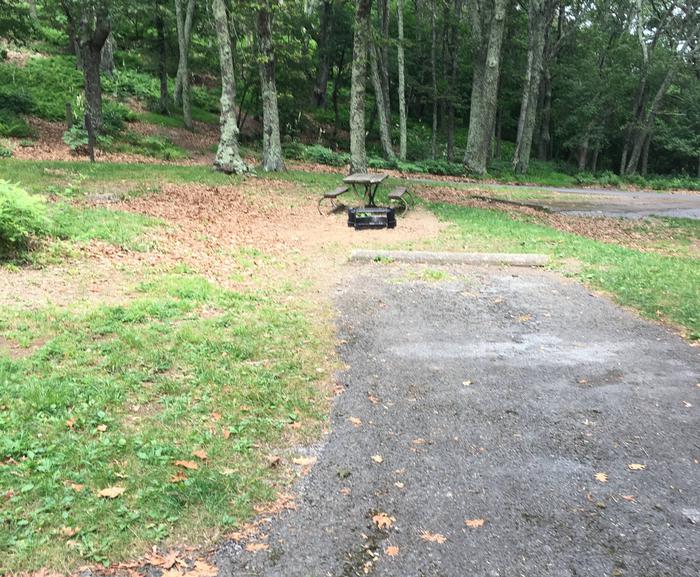 i219Site has a driveway, tent pad, picnic table, and fire pit. 