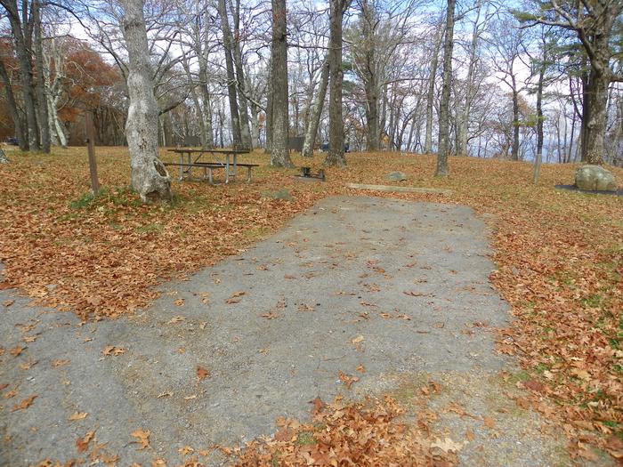 i224Site has a driveway, tent pad, picnic table, and fire pit. 