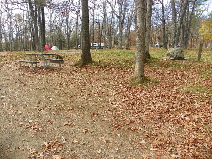 Campsite i225Site has a driveway, tent pad, picnic table, and fire pit. 