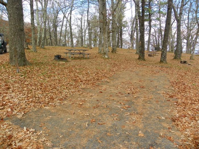 i226Site has a driveway, tent pad, picnic table, and fire pit. 