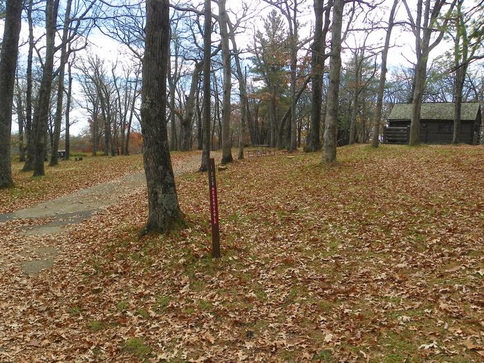 i229Site has a driveway, tent pad, picnic table, and fire pit. 