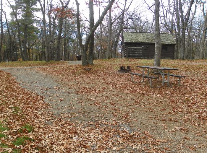 Campsite i229Site has a driveway, tent pad, picnic table, and fire pit. 