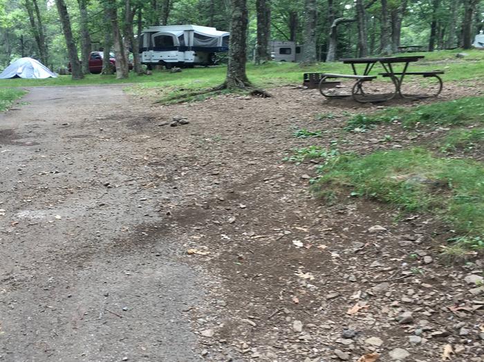 i231Site has a driveway, tent pad, picnic table, and fire pit. 