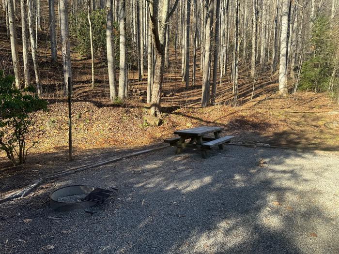 Site 1 includes a picnic table and fire ring. Site 1 Sunburst 