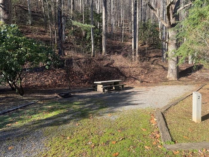 Site 2 includes a picnic table and fire ring. 