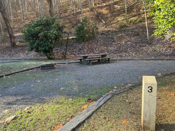 Site 3 includes a picnic table and fire ring.Site 3 includes a picnic table and fire ring. 