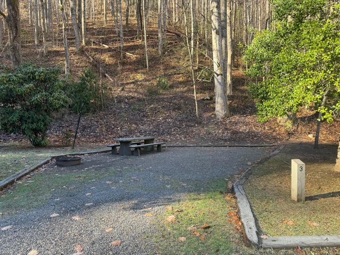 Site 3 includes a fire ring and picnic table. 