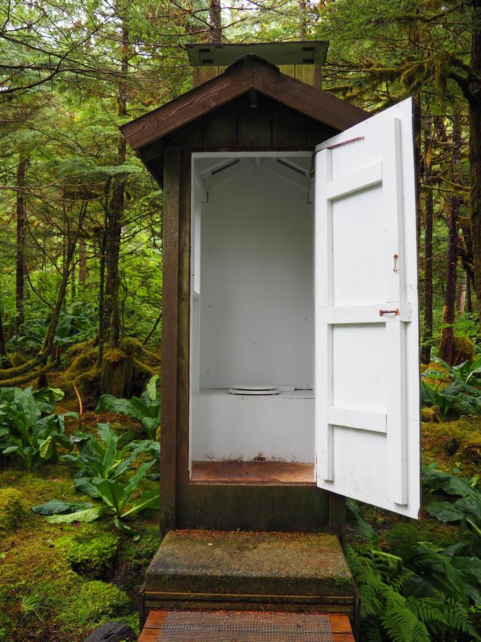 Outhouse door open showing inside toilet with two steps outhouse is surrounded by green treesOuthouse