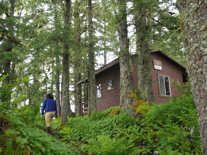 Someone walking up to a brown cabin with lots of trees aroundWalking up to Gut Island Cabin 1