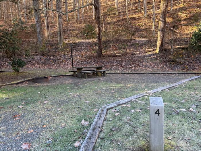 Site 4 includes a picnic table and fire ring.Site 4 includes a picnic table and fire ring. 