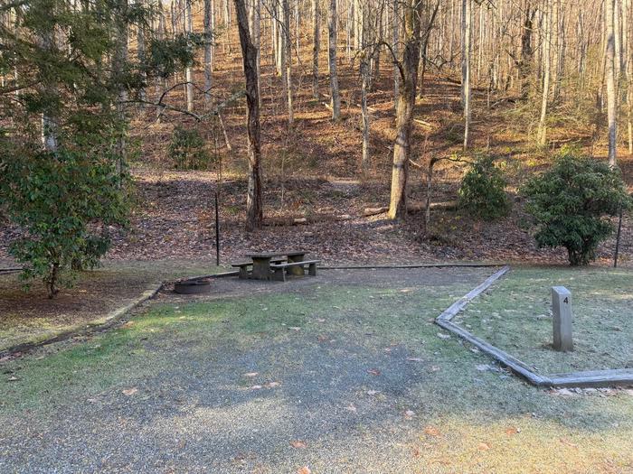 Site 4 includes a picnic table and fire ring. Site 4 includes a picnic table and fire ring. Flush toilets restrooms available on site. No showers on site. 