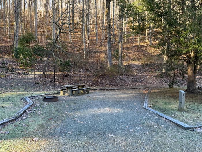 Site 5 includes a fire ring and picnic table.Site 5 includes a fire ring and picnic table. 