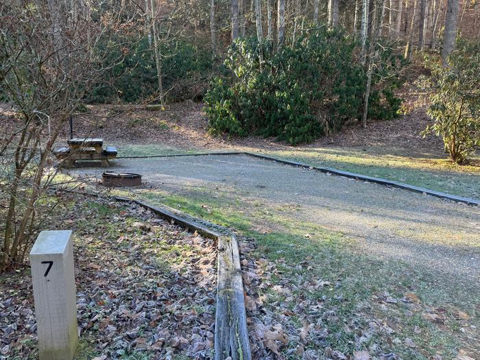 Site 7 includes a picnic table and fire ring. Site 7 includes a fire ring and picnic table.