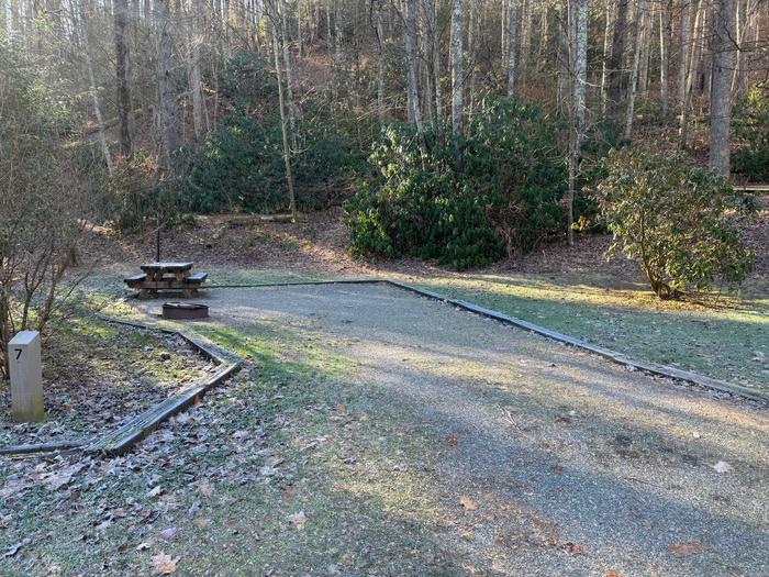 Site 7 includes a picnic table and fire ring. Site 7 includes a fire ring and picnic table.