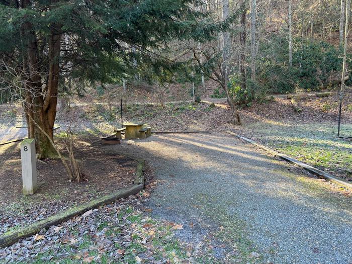 Site 8 includes a fire ring and picnic table.Site 8 includes a fire ring and picnic table