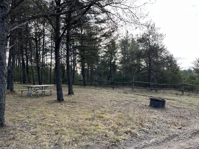 A photo of Site 10 of Loop  at Meadows ORV Campground with Picnic Table, Fire Pit