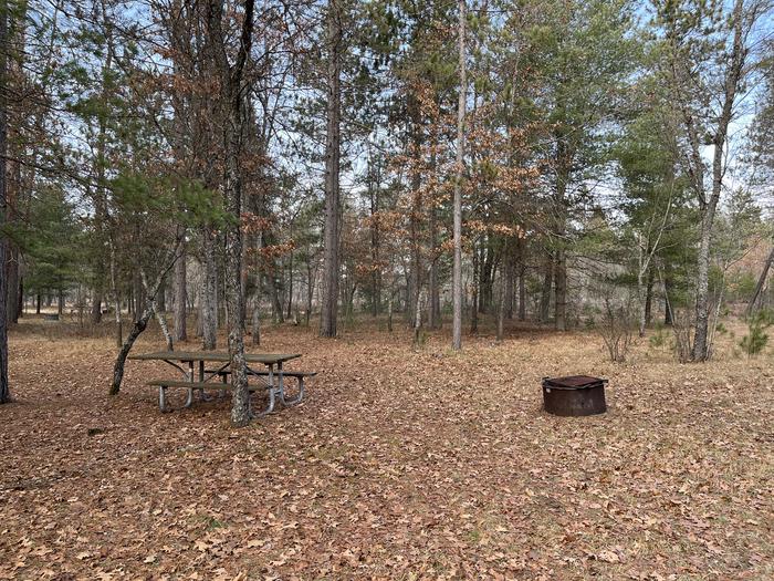 A photo of Site 9 of Loop  at Meadows ORV Campground with Picnic Table, Fire Pit