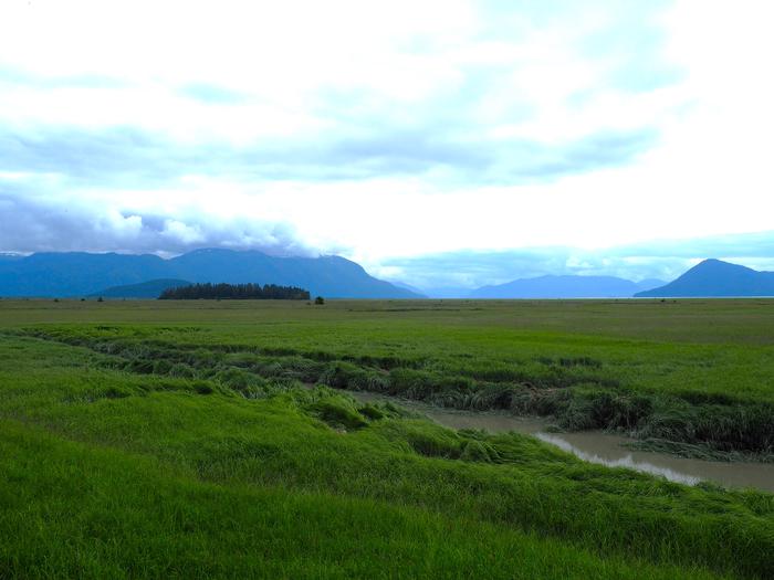Green grassflats with mountains and cloudsScenery from Little Dry Island Cabin