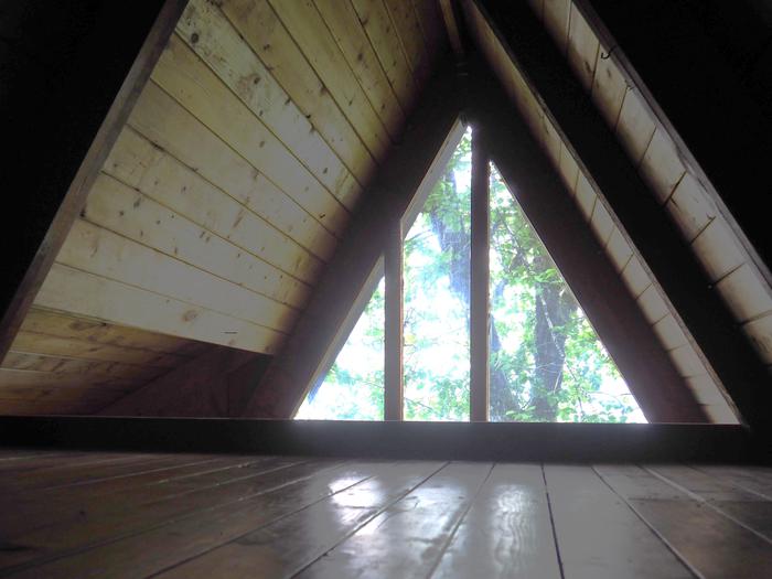 Triangular loft window of a wood cabin showing view of treesView from loft window of Mallard Slough Cabin