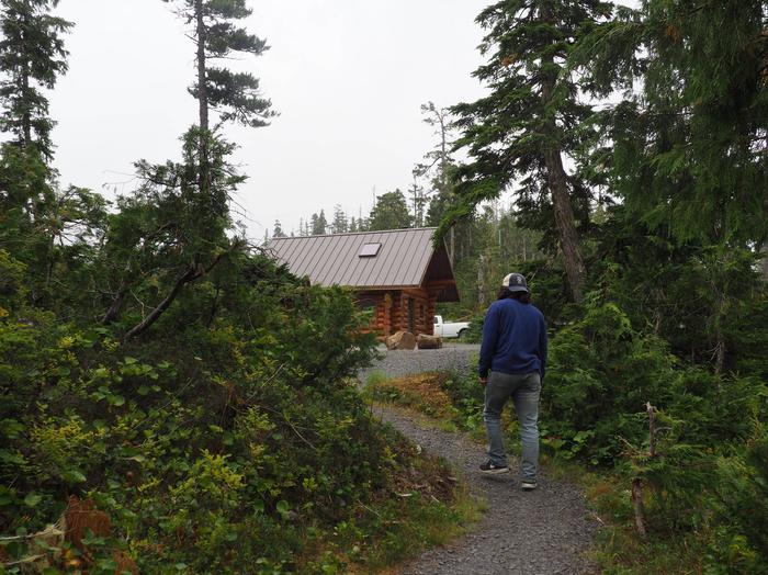 Person walking up gravel walkway to Middle Ridge Cabin with trees on both sides of himMiddle Ridge Cabin surroundings
