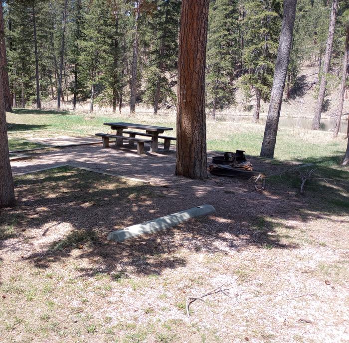 Site 1 Table and Fire Ring