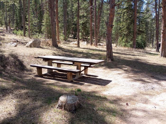 Dalton Lake Campground Site 5