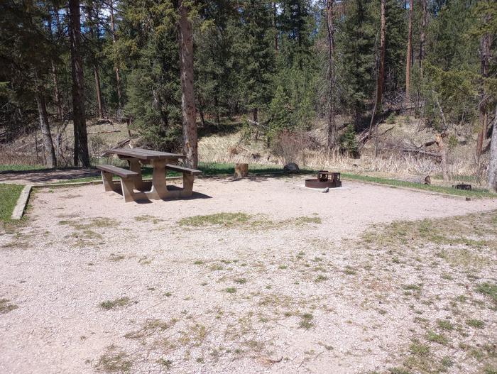 Dalton Lake Campground Site 8 toward creek