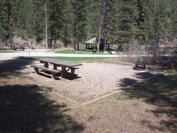 Dalton Lake Campground Site 9 - south view