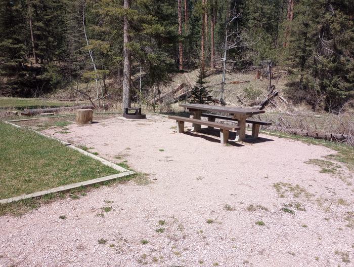 Dalton Lake Campground Site 10 - north view