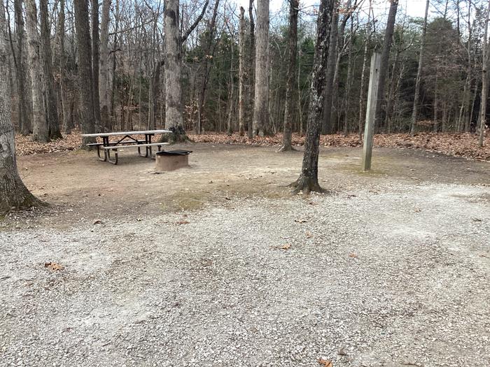 A photo of Site 3 at Youngs Creek Campground with Picnic Table, Fire Pit, Shade