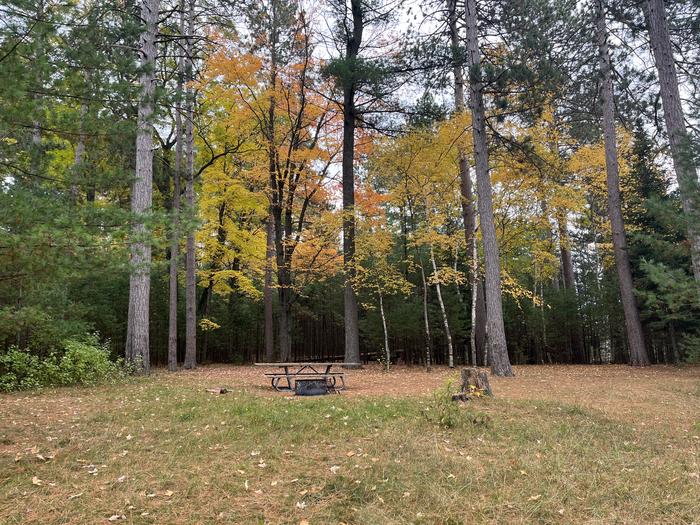 A photo of Site 3 of Loop Hike To at Wakeley Lake Campground with Picnic Table, Fire Pit