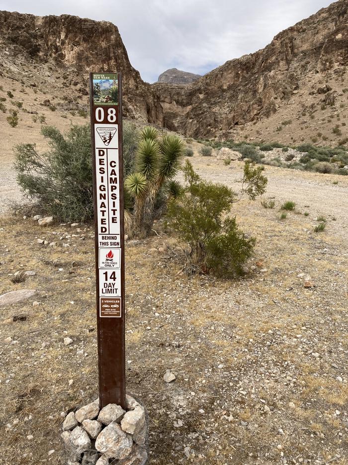 Beaver Dam Wash Designated Dispersed Camping AreaCampsite with brown numbered placard (#8), adjacent Joshua Tree, and native vegetation surrounded by limestone cliffs of the Beaver Dam Mountains. 