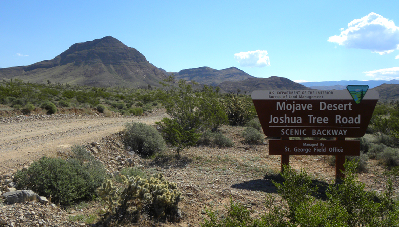 Mojave Desert Joshua Tree Road Scenic Byway Entrance Sign
