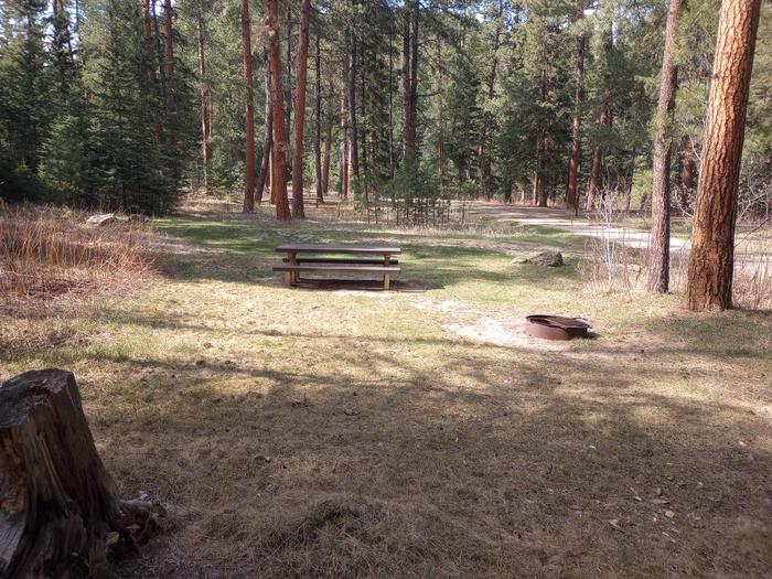 Boxelder Forks Campground Site 1