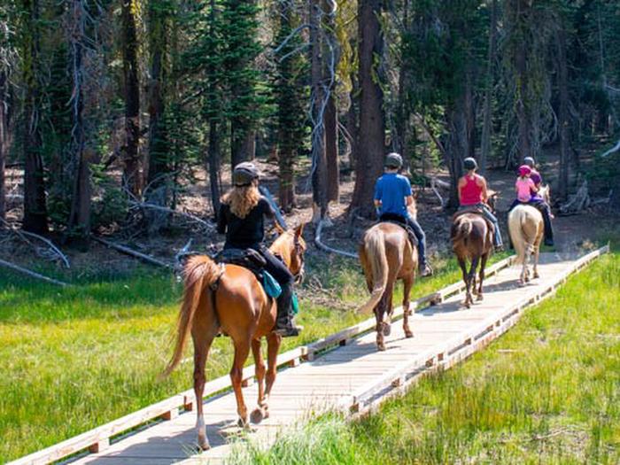 Horseback riders at Summit Lake Trailhead