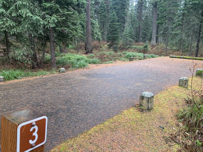 A photo of Site LAS3 in Loop 1 at Lake Alva Campground with campsite marker, parking area. 
