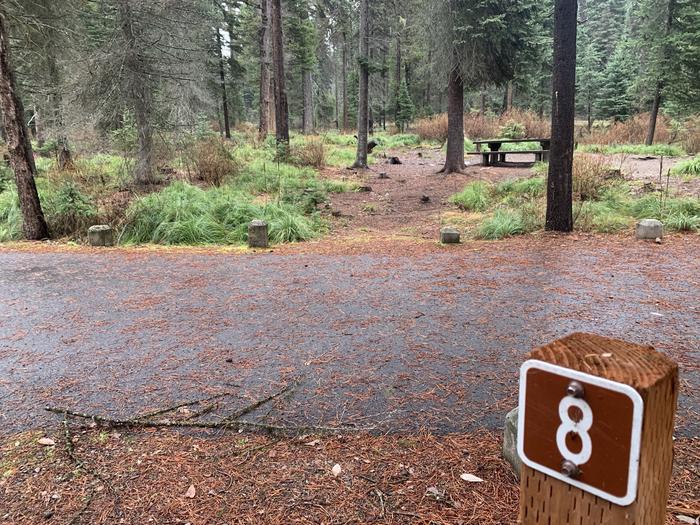 A photo of Site LAS8 in Loop 1 at Lake Alva Campground with campsite marker, parking area, picnic table. A photo of Site LAS8 in Loop 1 at Lake Alva Campground with campsite marker, parking area, picnic table.