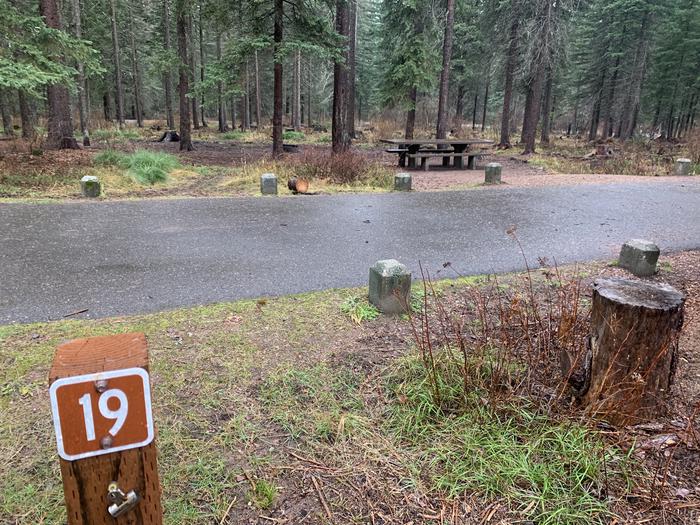 A photo of LAS19 in Loop 1 at Lake Alva Campground with campsite marker, parking area, picnic table.