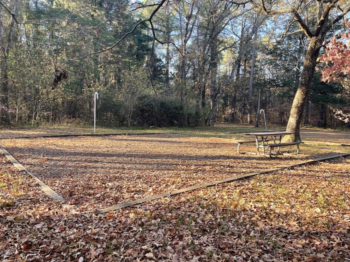A photo of a campsite at Chickamauga Battlefield in the fall, featuring a tent pad, picnic table, and lantern poles.
