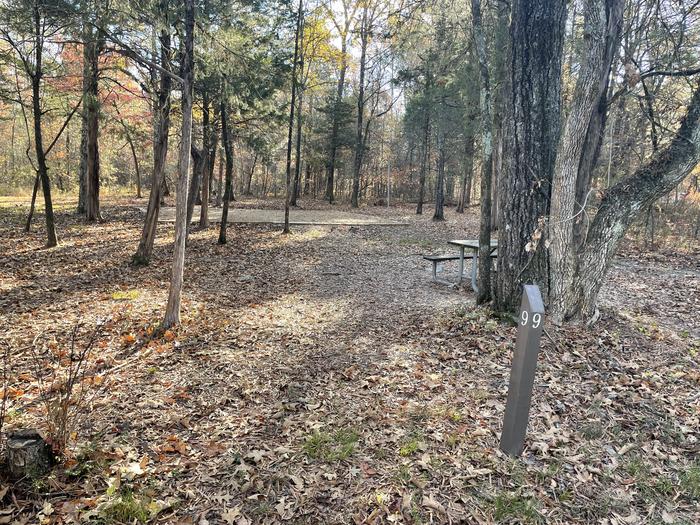 A photo of Site 9 at Chickamauga Battlefield Group Campground with Picnic Table, Fire Pit, Shade, Tent Pad, Lantern Pole