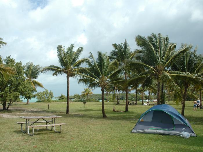 The campground at Elliot Key with palm trees and picnic tableThe campground at Elliot Key