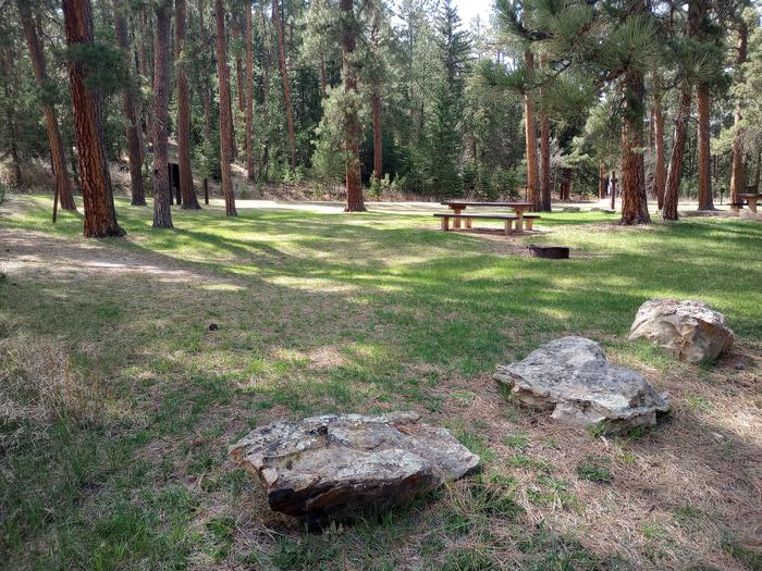 Boxelder Campground Site 11