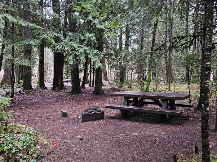 Picnic table and fire ring site A04