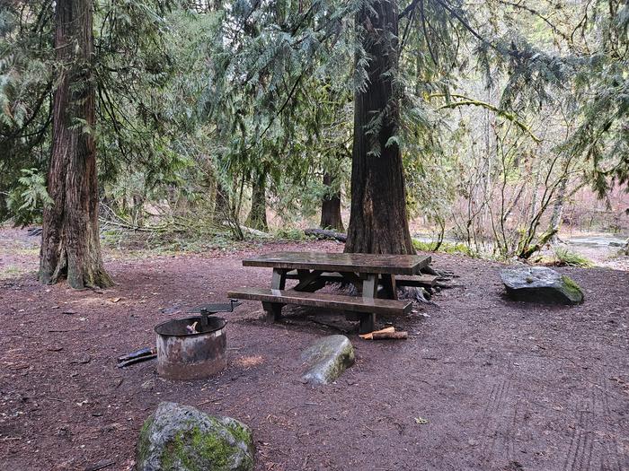 Picnic table and fire ring at site A08