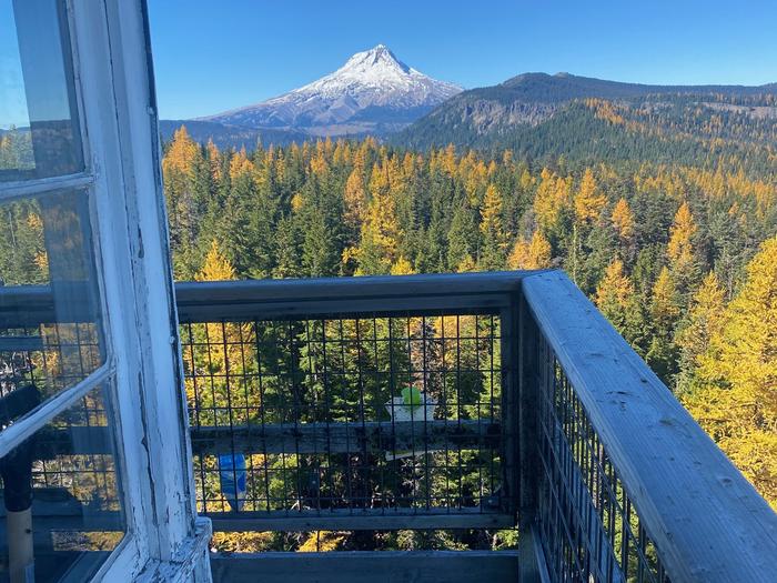View of Mt. Hood from the Flag Point Lookout catwalk.