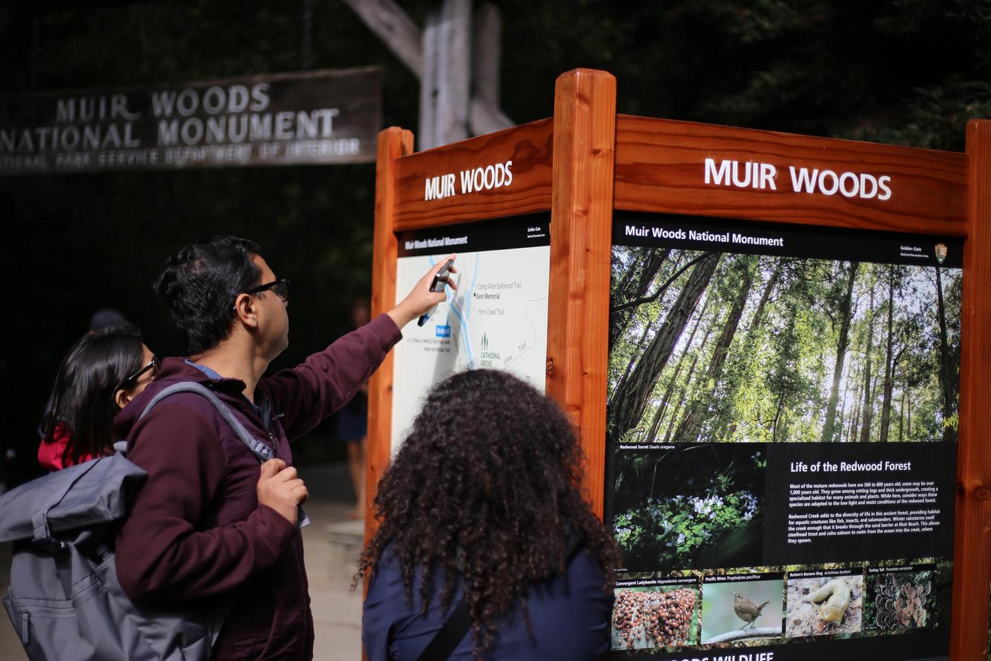 Visitor at MUWO signVisitors can receive orientation at the front entrance before visiting the forest.