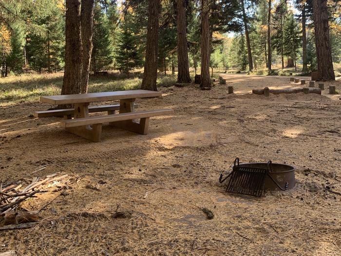 A photo of Site SLS6 in Loop 1 at Seeley Lake Lolo Campground (MT) with picnic table, campfire ring.