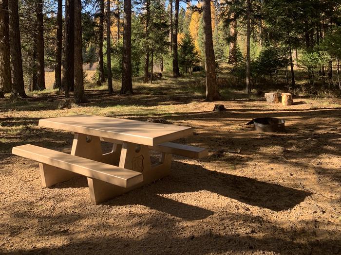 A photo of Site SLS7 in Loop 1  at Seeley Lake Lolo Campground (MT) with Picnic Table, Fire Pit.