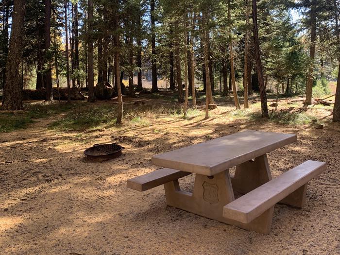 A photo of Site SLS9 in Loop 1  at Seeley Lake Lolo Campground (MT) with picnic table, fire pit. 